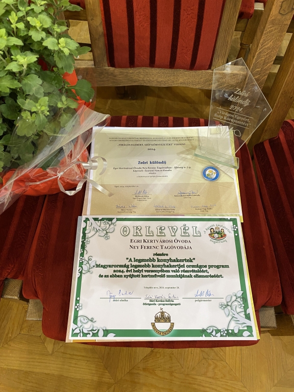 Virágos Egerért, szép környezetért